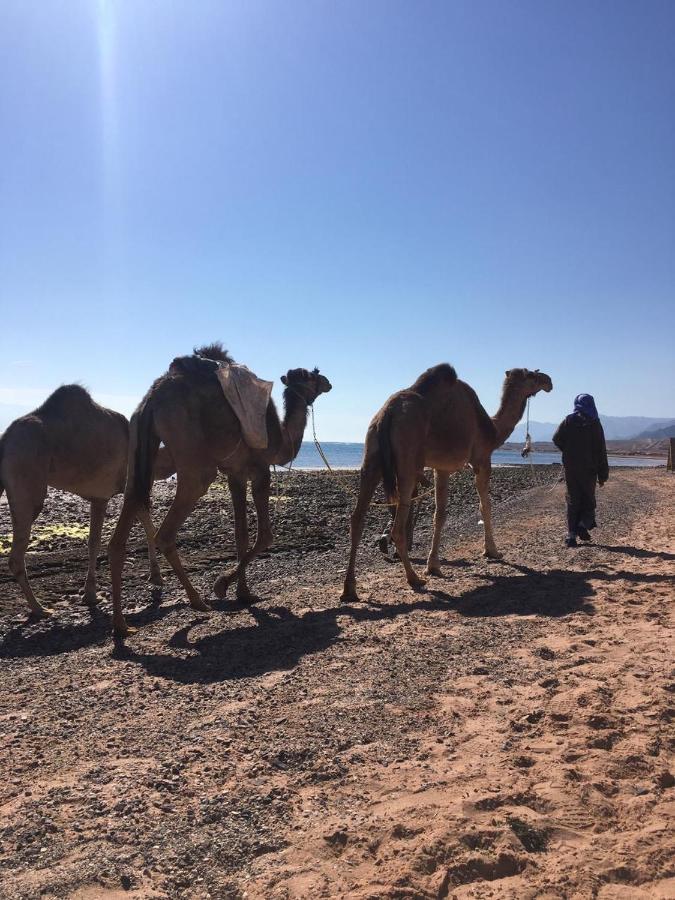 Anne Sinai'S Best Camp & Resturant Otel Nuweiba` Dış mekan fotoğraf